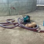 Oknum Intel Polres Bogor Diduga Sebarkan Foto Wartawan, Pimpinan Media Swaradesaku Angkat Bicara