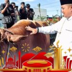 Bupati Bogor Serahkan Hewan Kurban Bantuan Presiden RI kepada DKM Masjid Raya Nurul Wathon